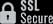 icon-ssl